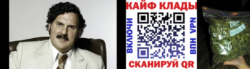 Где купить наркотики Сясьстрой MDMA Альфа ПВП ГАШИШ МЕГА как войти Бошки Шишки Меф