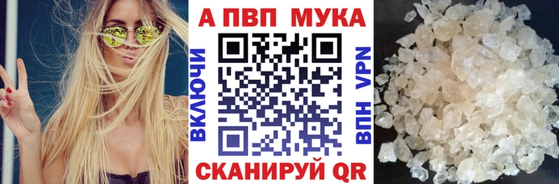 APVP СК  Сясьстрой 
