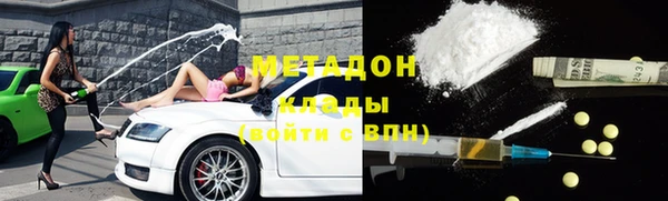 индика Арсеньев