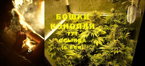 гидра Армянск