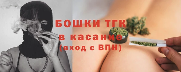 индика Арсеньев