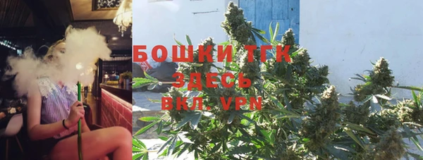 индика Арсеньев