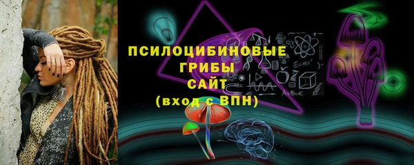 индика Арсеньев