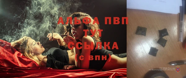 твердый Алзамай