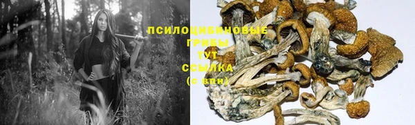 винт Абаза