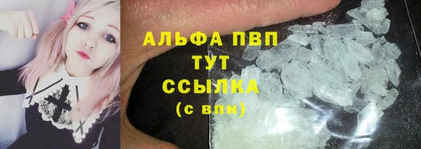 мяу мяу мука Аркадак
